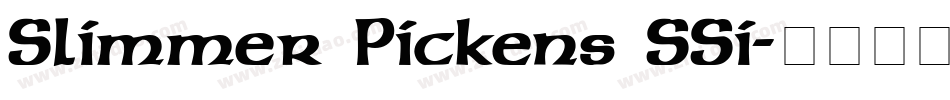 Slimmer Pickens SSi字体转换